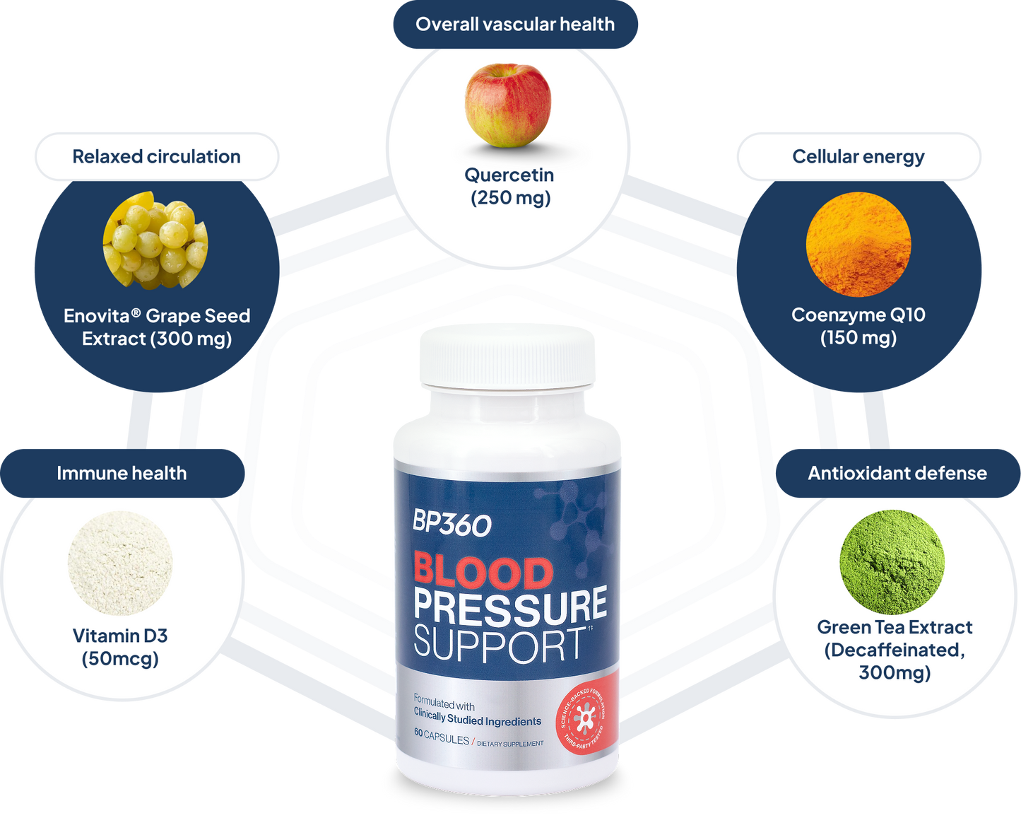 BP360 Blood Pressure Support