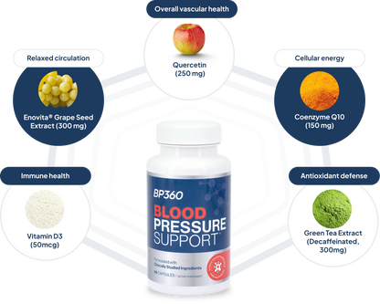 BP360 Blood Pressure Support