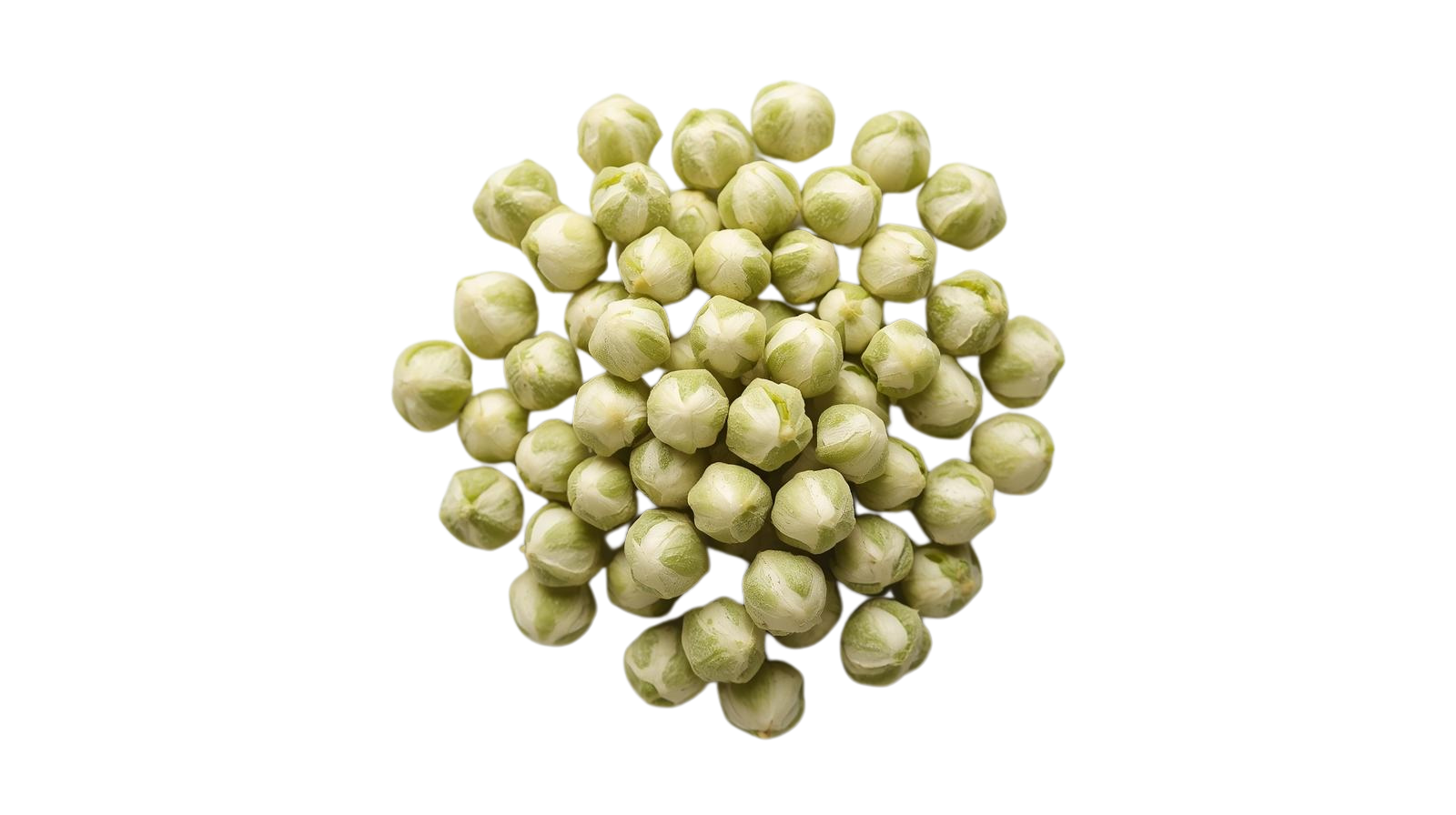 Pile of Sophora japonica buds on a white background